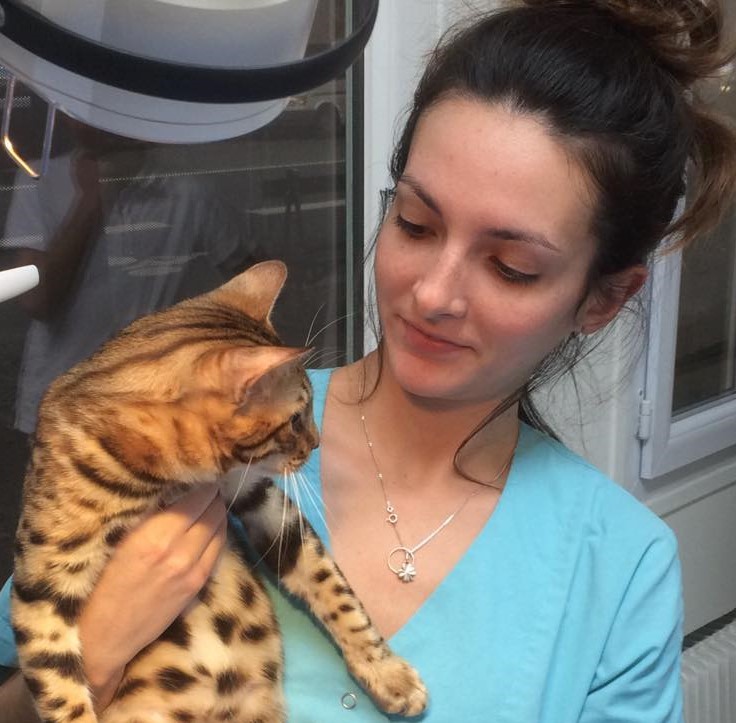 14915588_363859250615728_7377144510548082858_n